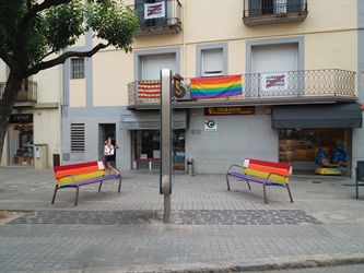 El Pla de l'Estany commemora per primera vegada el Dia Internacional de l'Orgull LGBTI