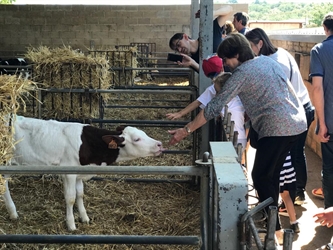 Augmenta el nombre d’explotacions i visitants a la comarca del Pla de l’Estany en la quarta edició de Benvinguts a Pagès 2019