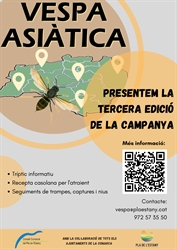 En marxa la 3a edició de la campanya ‘Caça la vespa asiàtica al Pla de l’Estany’