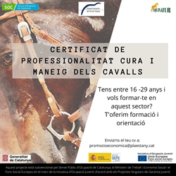 Nova edició del curs per obtenir el certificat de professionalitat en cura i maneig de cavalls